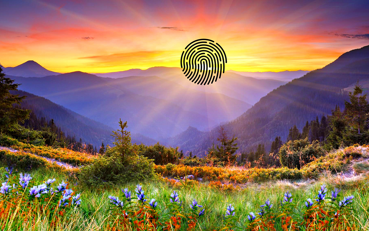 How Decentralised Identity Protocols DID s Will Revolutionise Consent