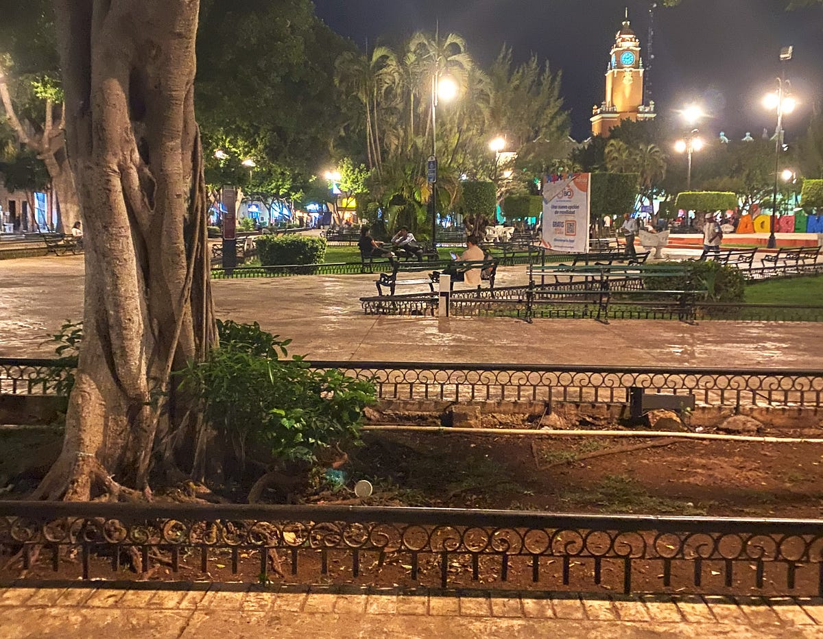 A Night to Remember in Merida’s Central Park by Shawndrea Campbell
