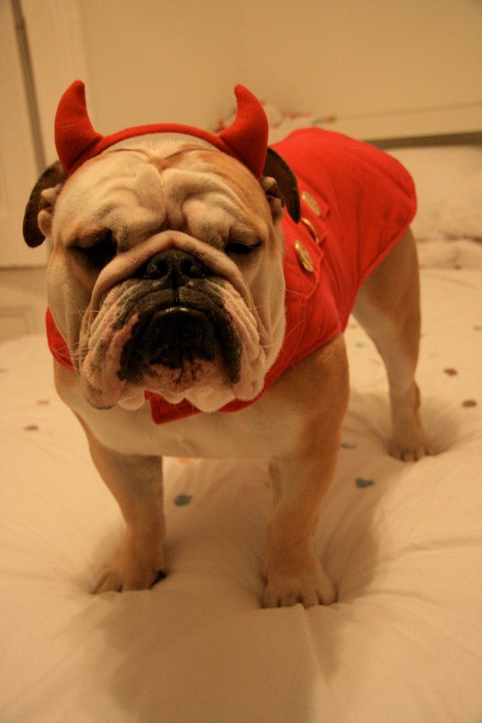 Image of: Are We Living in the End Times?