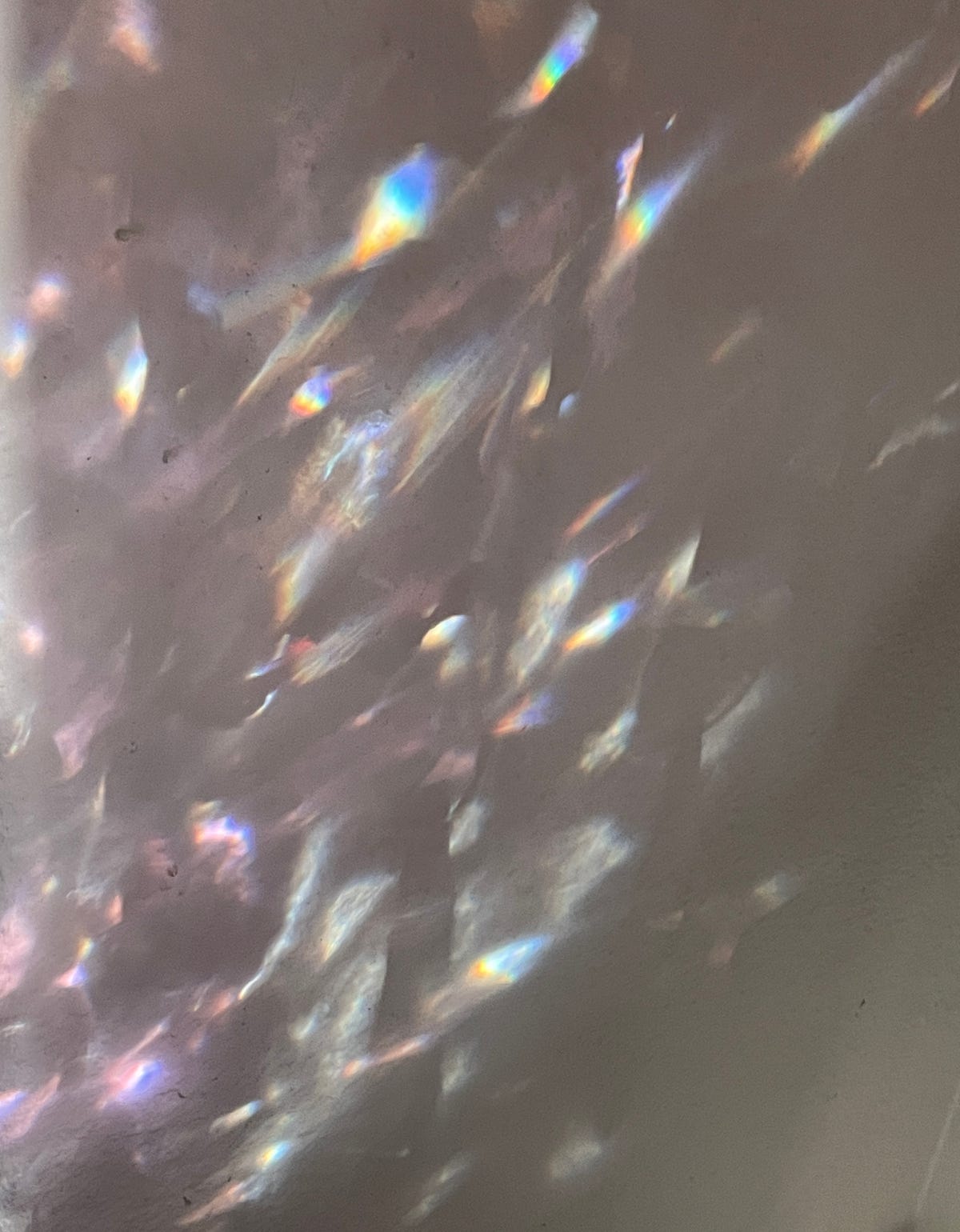 Taylor Swift(and her boyfriend) For President; and My advisor(Gizzy) In