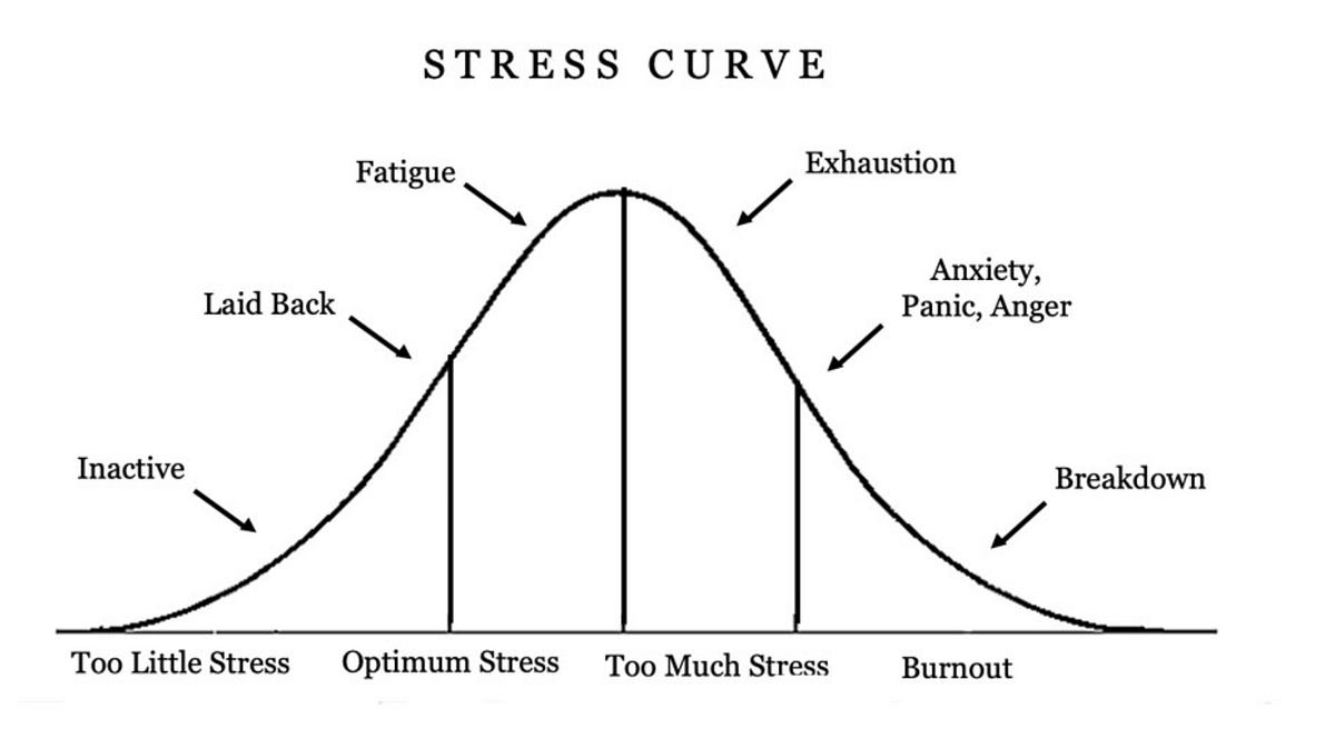 stress-management-and-its-effect-on-fitness-by-karim-djidel-nov