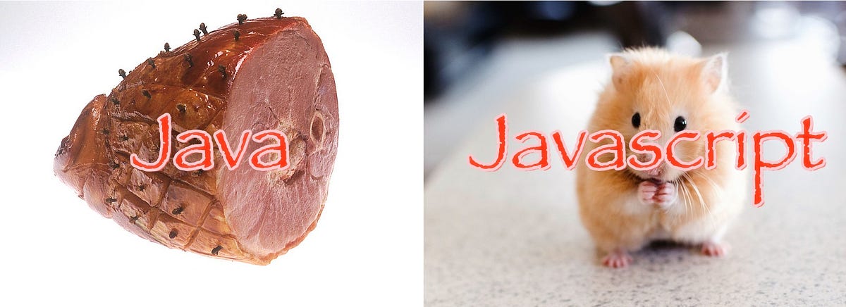 Java and Javascript are not the same | by David Deren | Texidi: Your ...