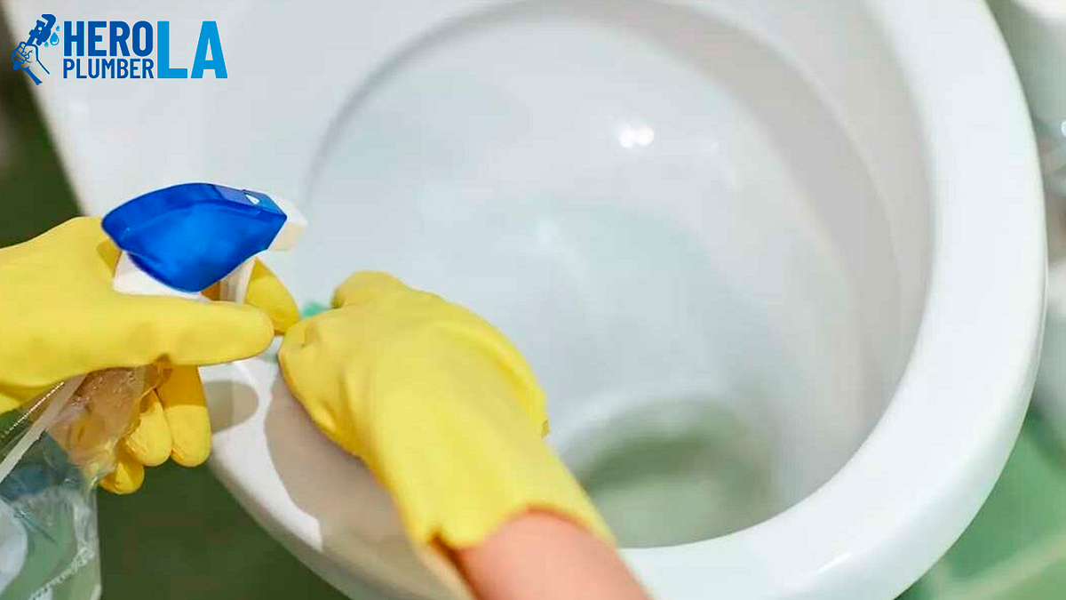Common Causes of a Clogged Toilet and How to Prevent Them by Hero Plumber Services Santa Ana