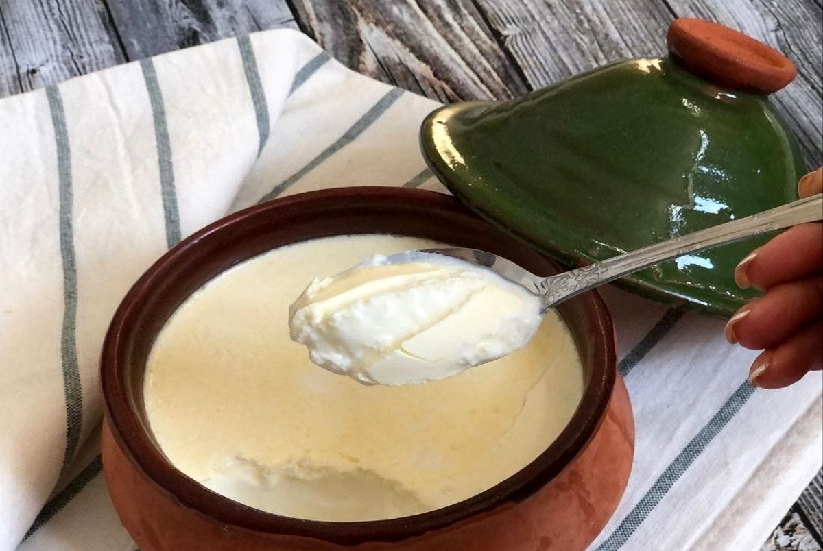 How to Make Vegan Yogurt at Home Healthy & DairyFree by 🌱VEGi1