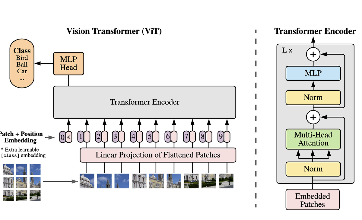 Types of Transformer Model. EncoderOnly Models by Rishabh Singh