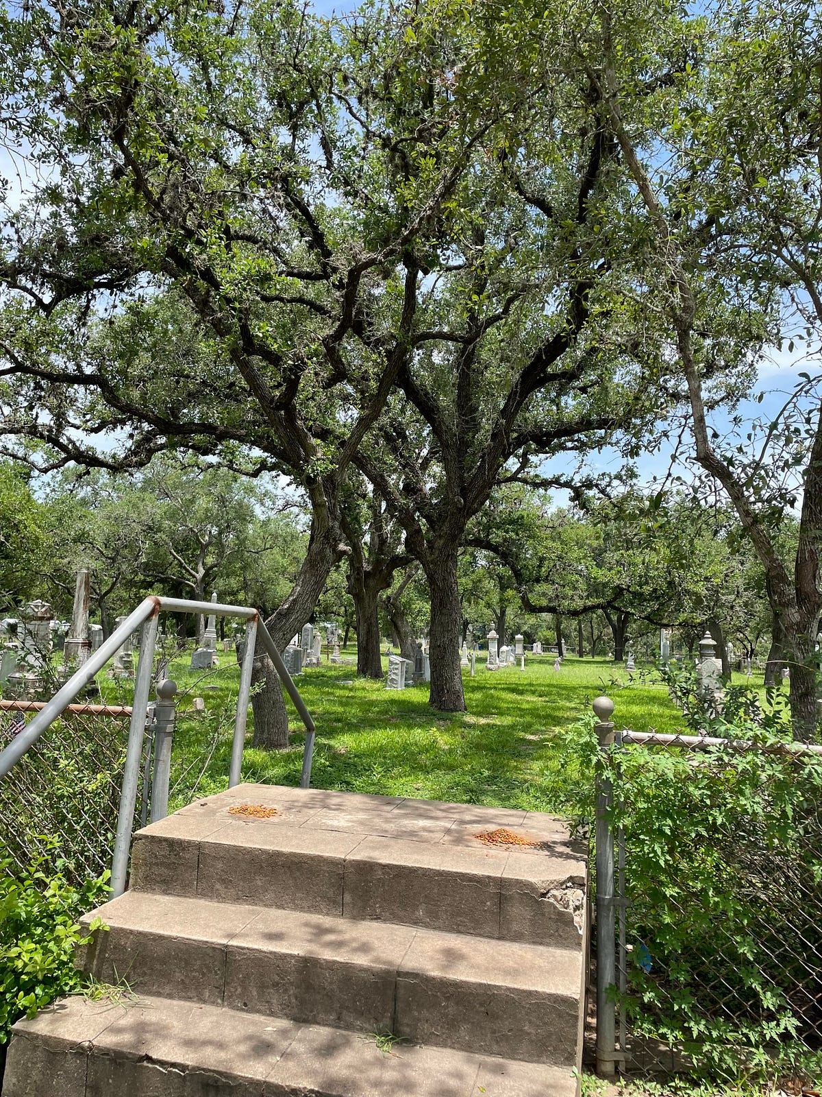 I carried my father’s ashes 1,500 miles to scatter them in Goliad