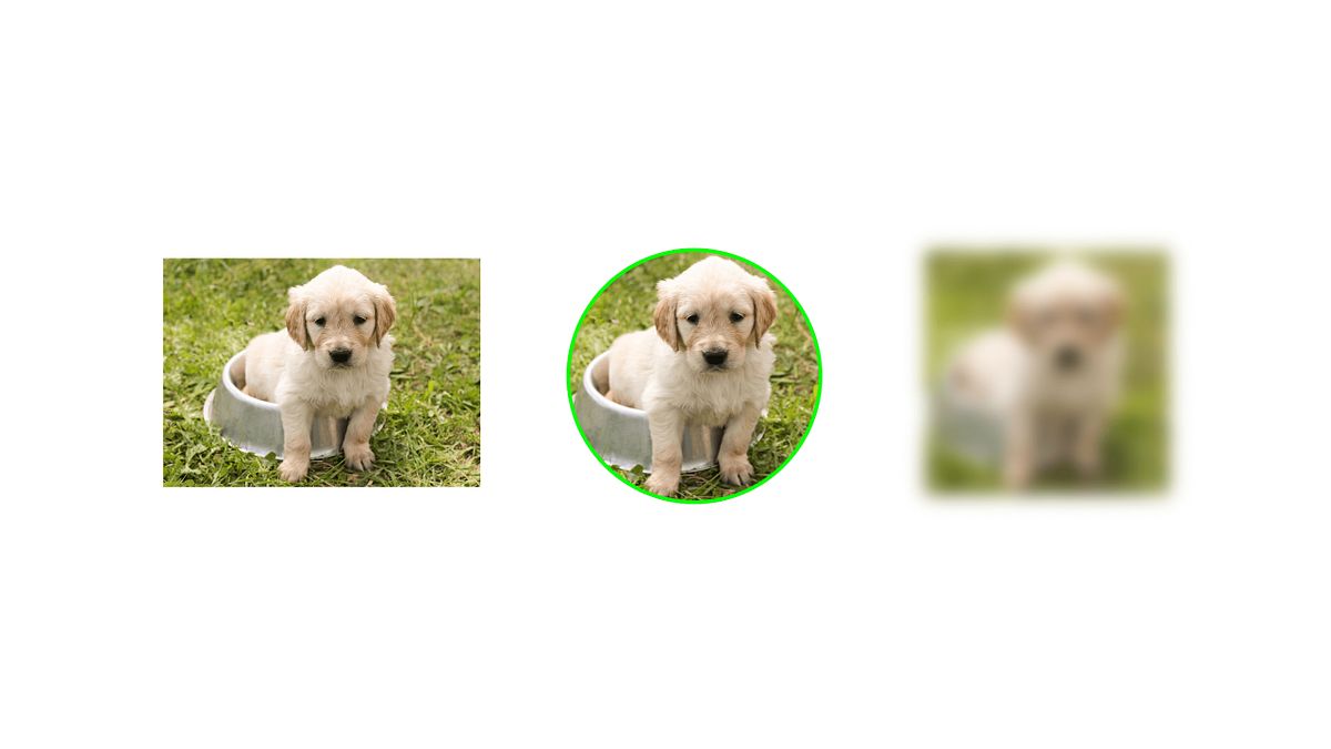 How to Use Images in Jetpack Compose? | by Syntax Buddy | Medium