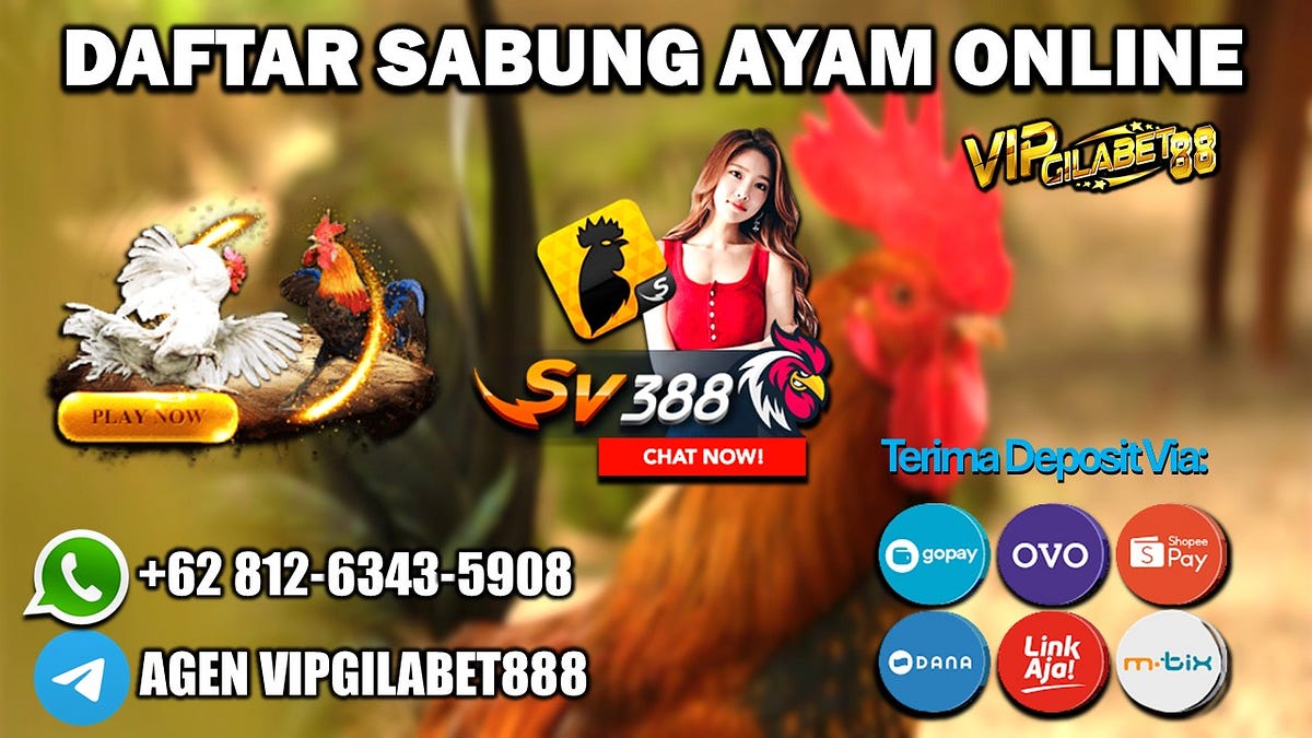 DAFTAR SABUNG AYAM ONLINE. Sv388 adalah salah satu aplikasi sabung ...