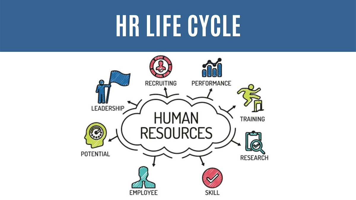 The 10 Stages of the HR Life Cycle by Aviahire Aviahire Medium