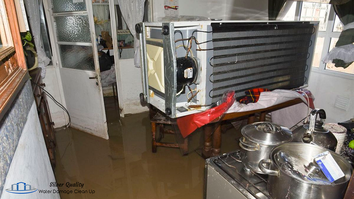 Restoring WaterDamaged Electronics and Appliances by Silver Quality