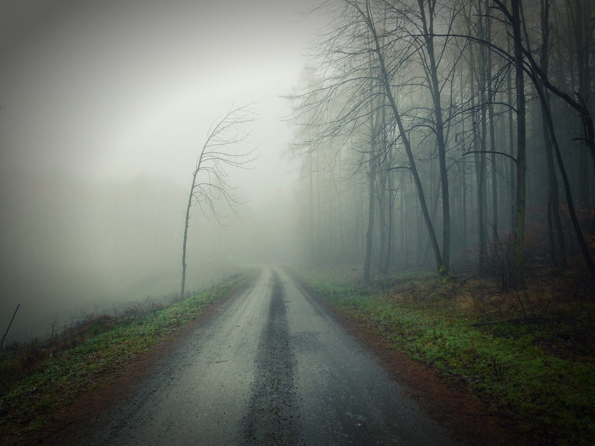 Clearing Rilke’s Mystic Fog Over Nature