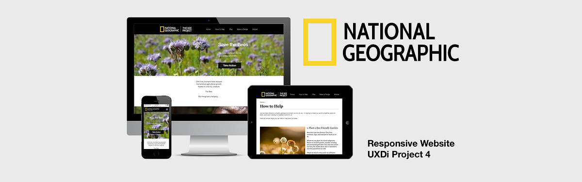 Save the Bees! (a Nat Geo Case Study) | by Sam Verdure | Medium
