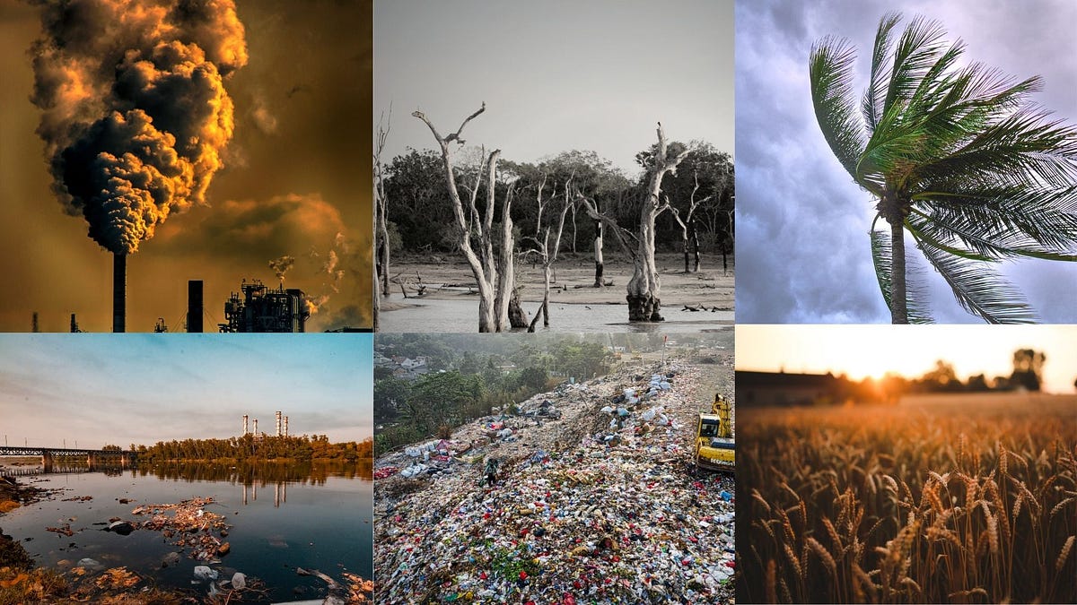 Causes and Effects Of Climate Change On Our Surrounding Environment