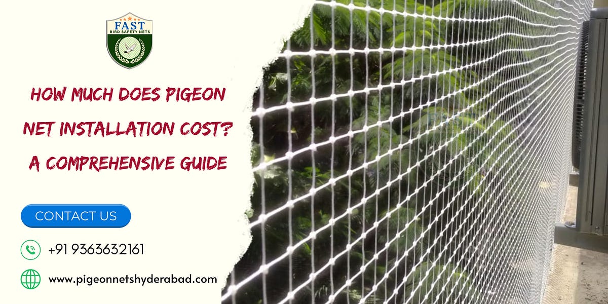 How Much Does Pigeon Net Installation Cost? A Comprehensive Guide by