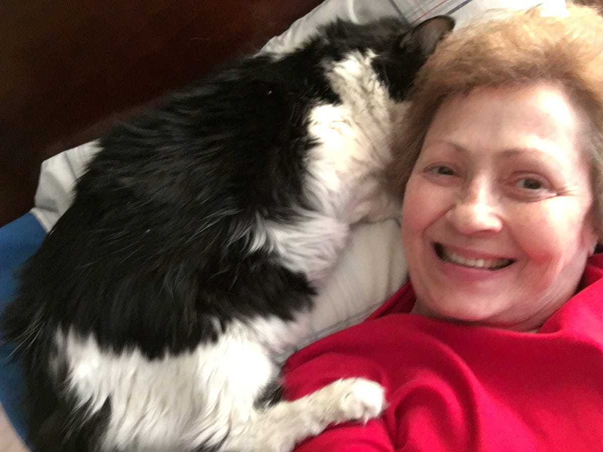 Your Pets Provide You With Healthy Benefits by Pamela Oglesby The