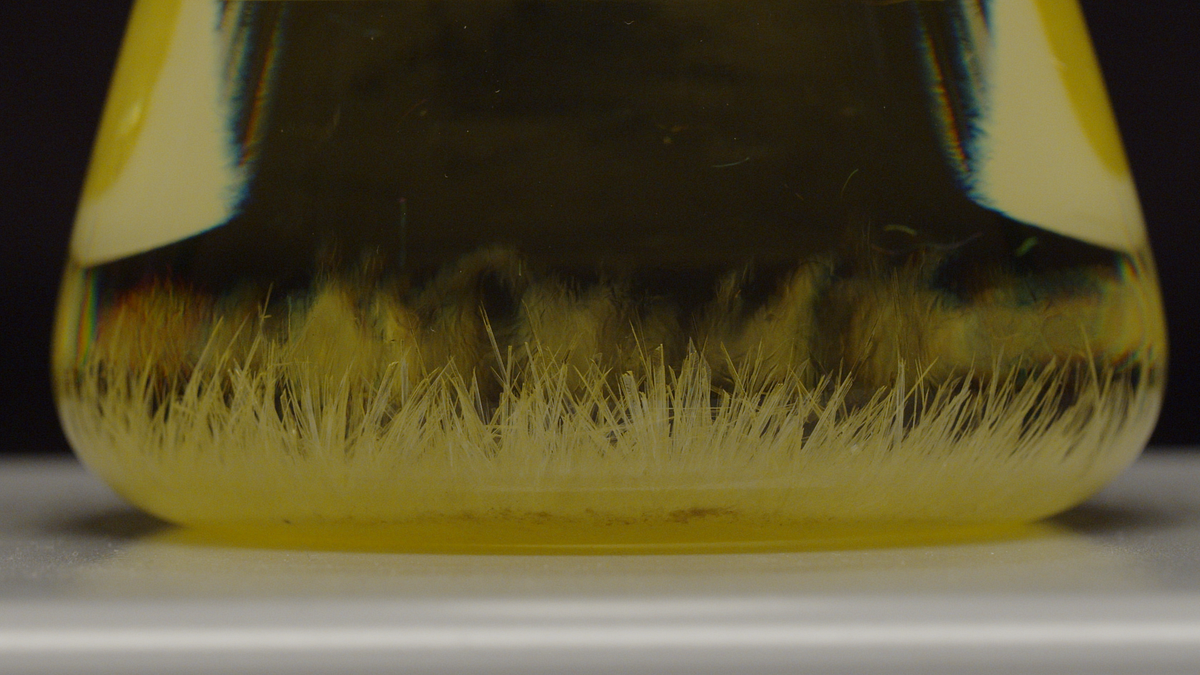 How to Purify Sulfur by Recrystallization With Xylene by Dangerous