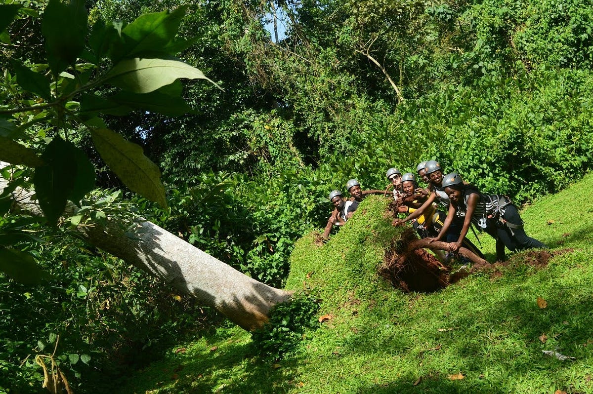 Speechless Mabira!. My dog doesn’t bark and doesn’t bite! by Ssesanga