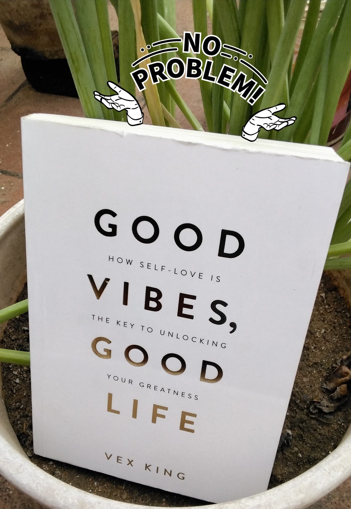 Book review; GOOD VIBES GOOD LIFE; Vex King by Aridey179