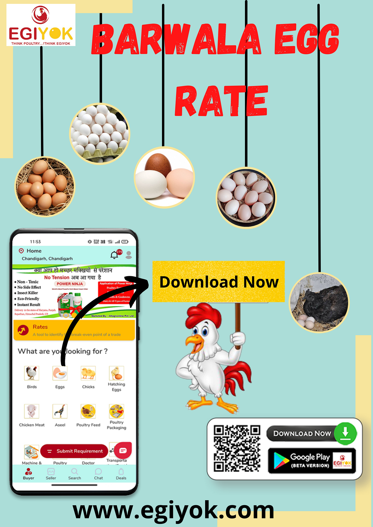 Get Quick Barwala Egg Rate Monika Egiyok Medium