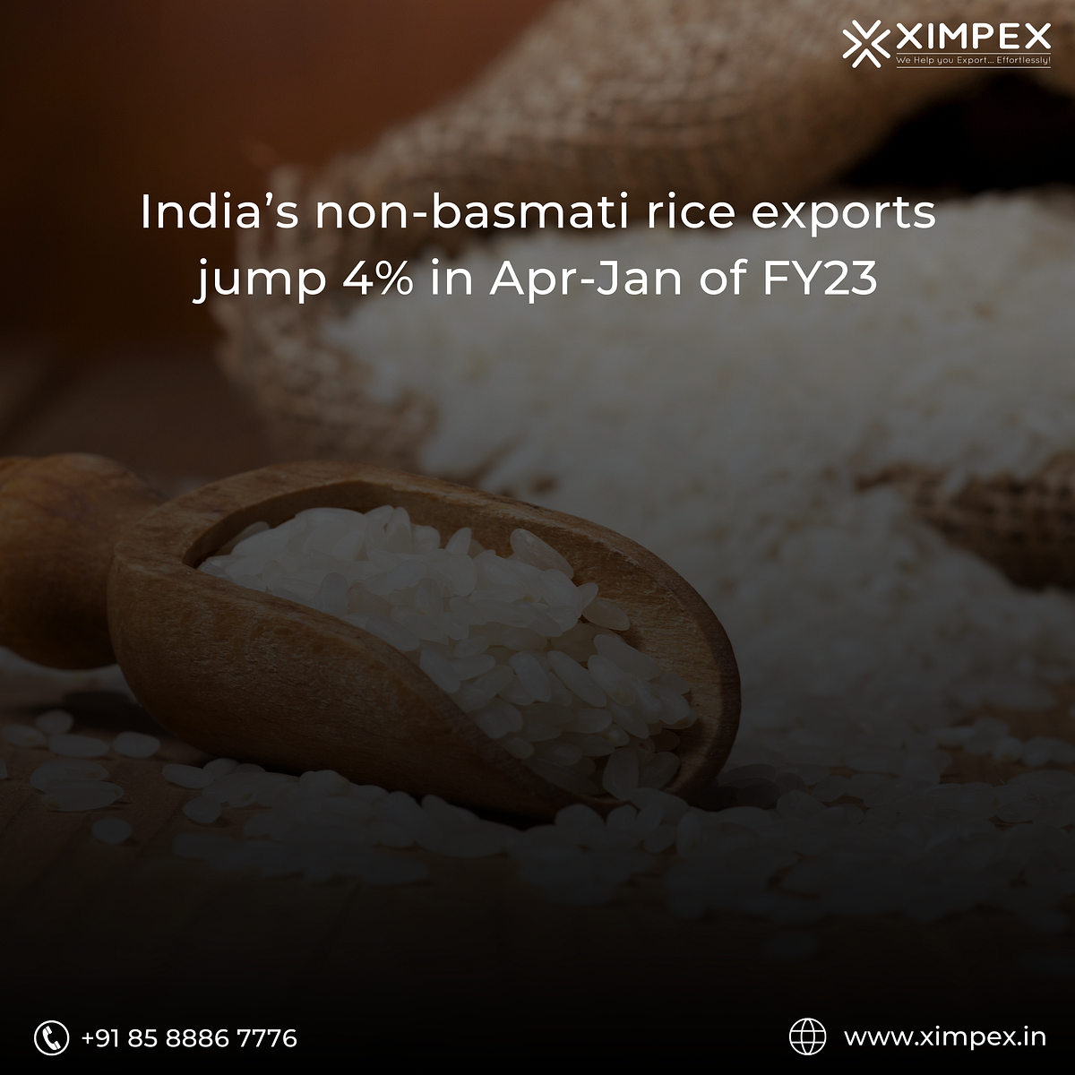 India’s nonbasmati rice exports jump 4 in AprJan of FY23 XIMPEX Medium