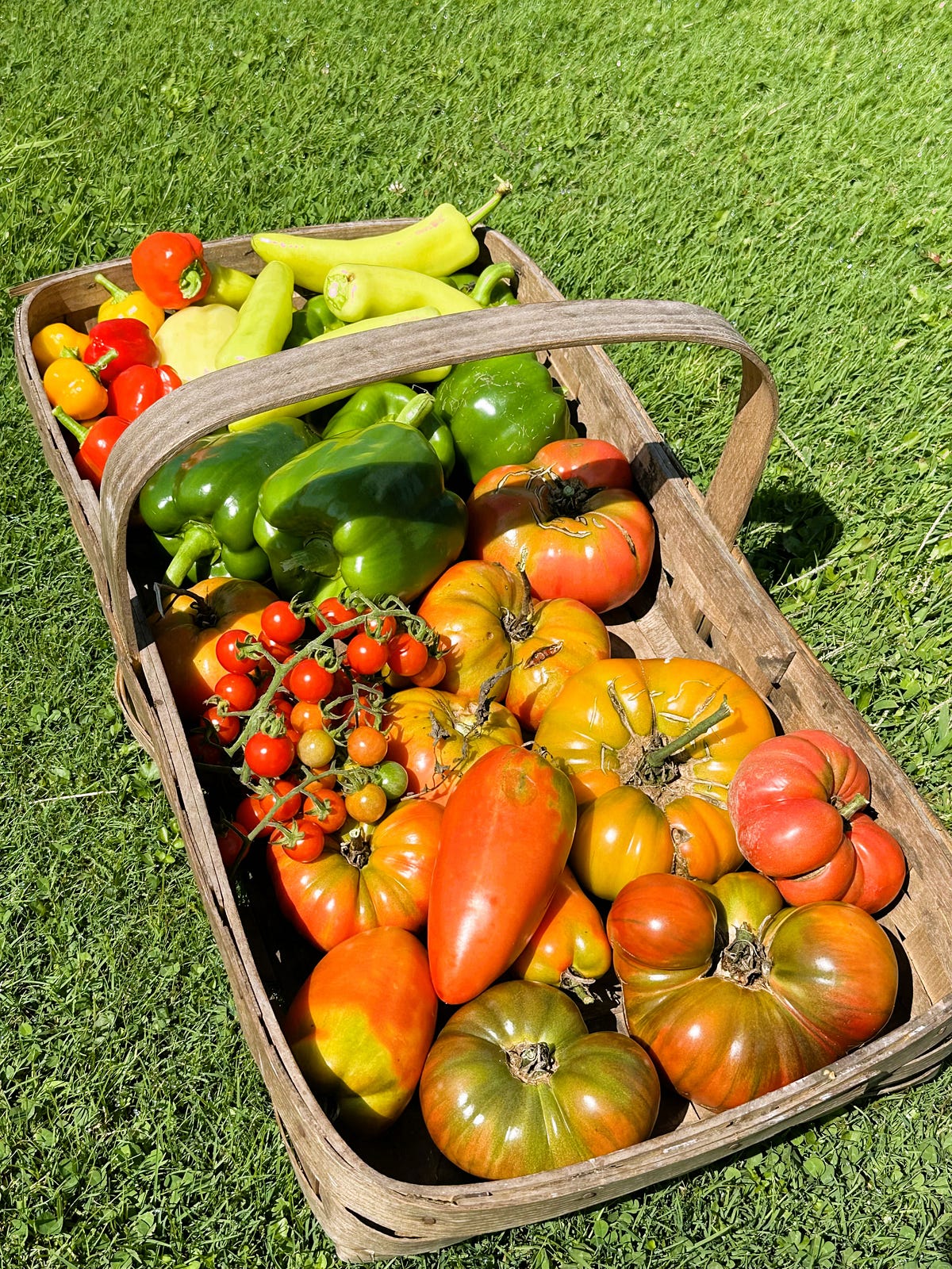 Bountiful Harvest SNAPSHOTS Medium