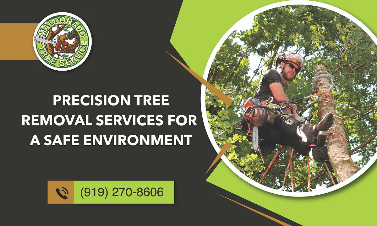 Get Rid of Unwanted Trees with Expert Removal Services