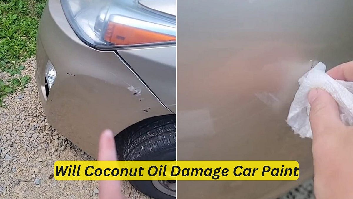 Will Coconut Oil Damage Car Paint? The Truth Revealed! by Car
