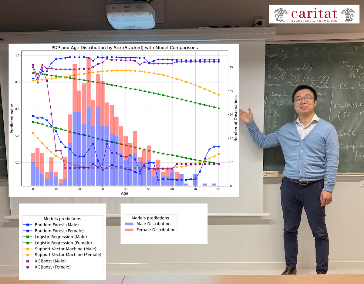Quand la visualisation fait parler les modèles de Machine Learning | by ...