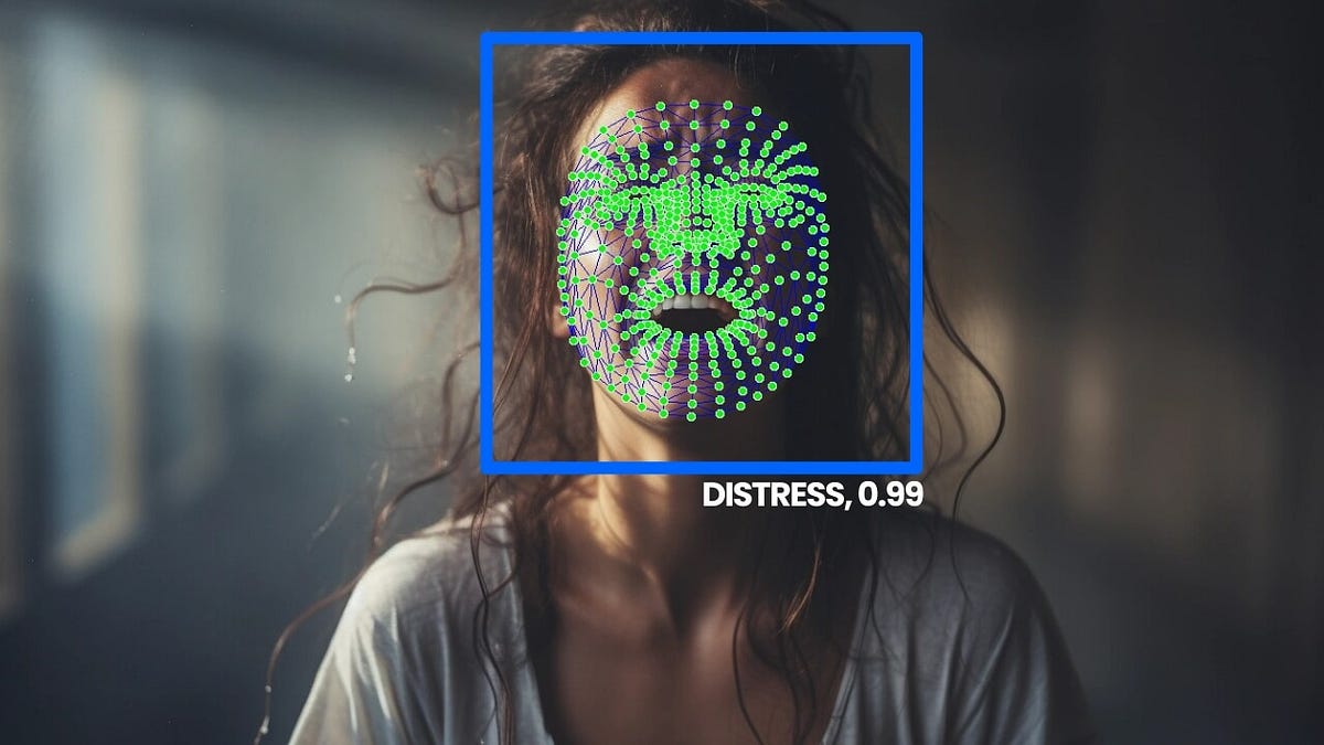 Real-Time Emotion Recognition in Python with OpenCV and FER | by ...