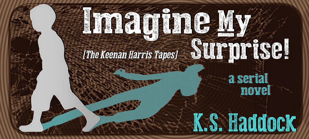 imagine-my-surprise-30-in-which-bart-tells-his-side-by-k-s