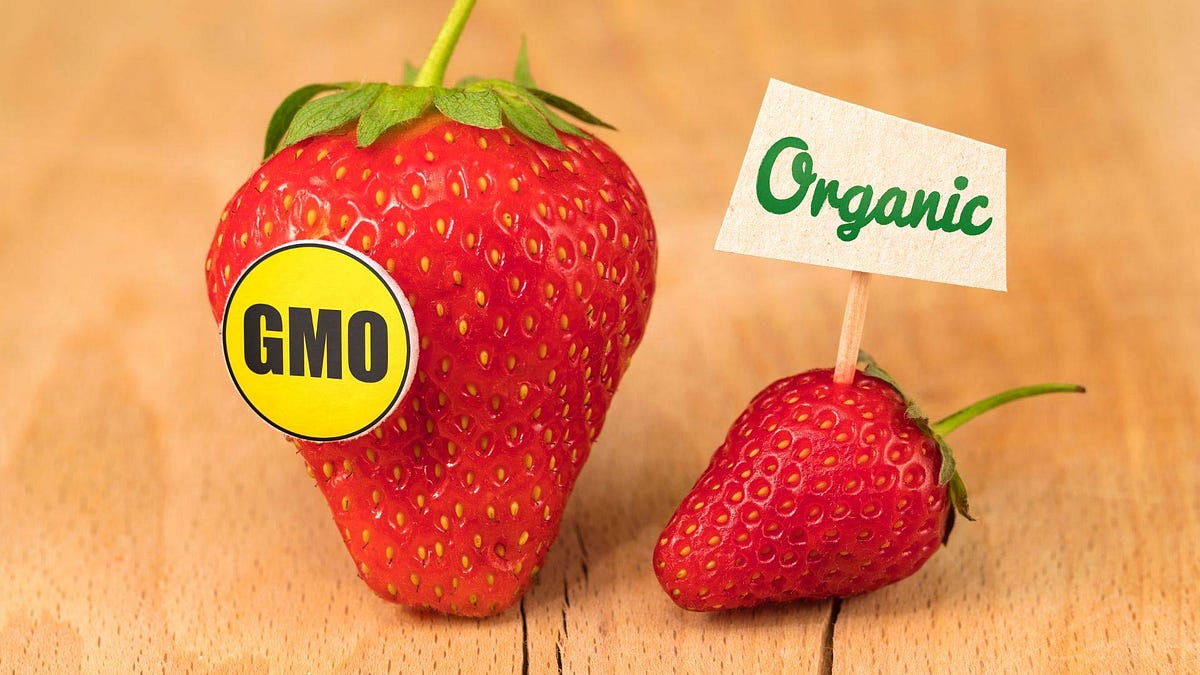 GMOs VS. the World. Author Jayce Schwartz by Jaschwartz Dec, 2023