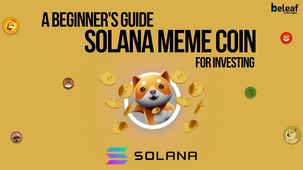 A Beginner’s Guide Solana Meme Coin for Investing
