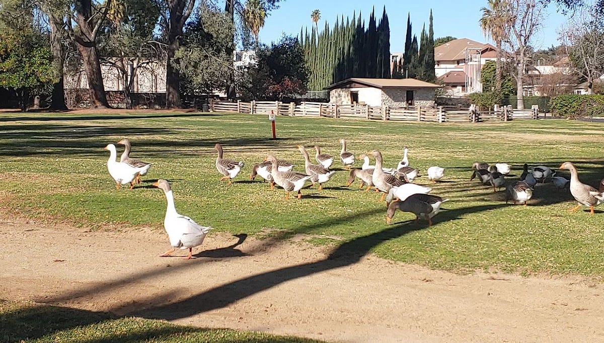 Preserving the Past: Uncovering the Rich Heritage of Los Encinos State ...