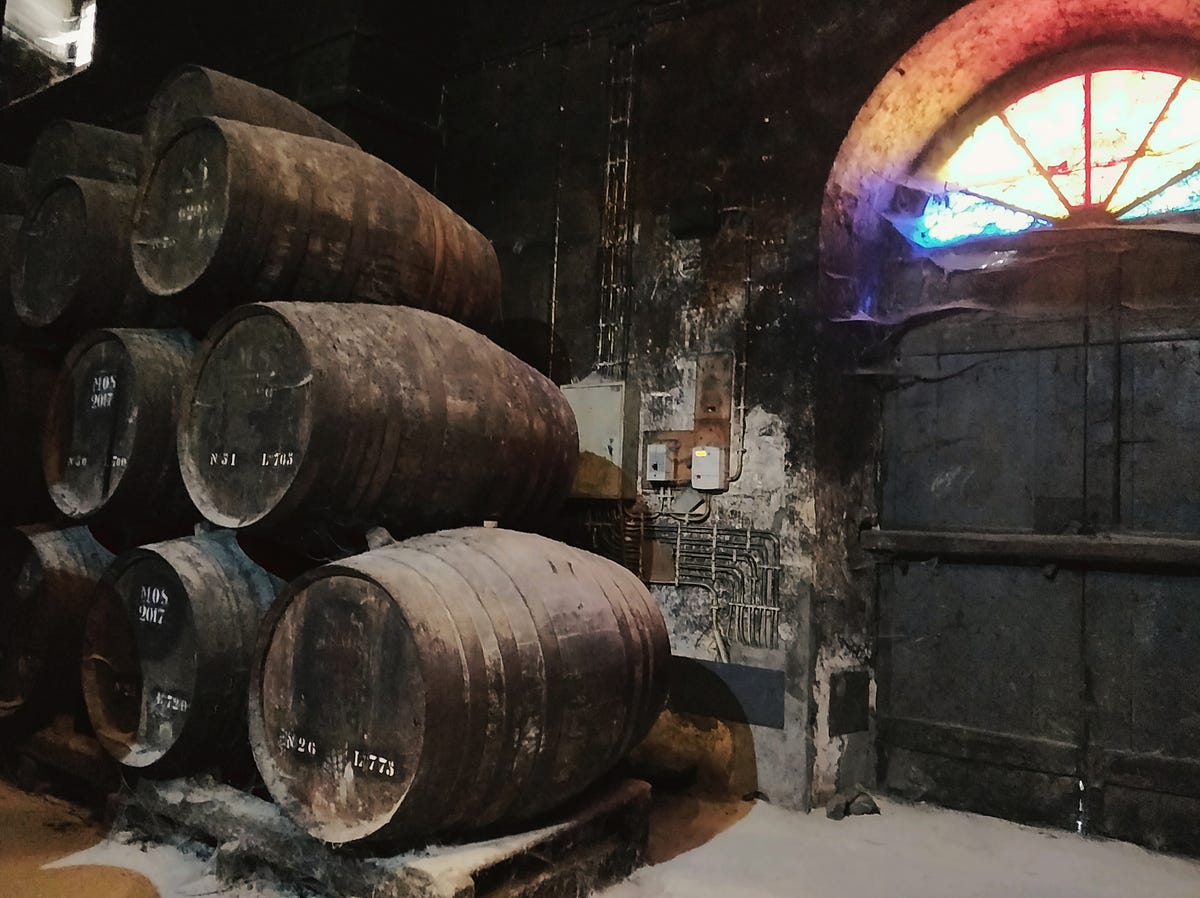 Getting to know José Maria da Fonseca | by Cara Fernandes | Medium