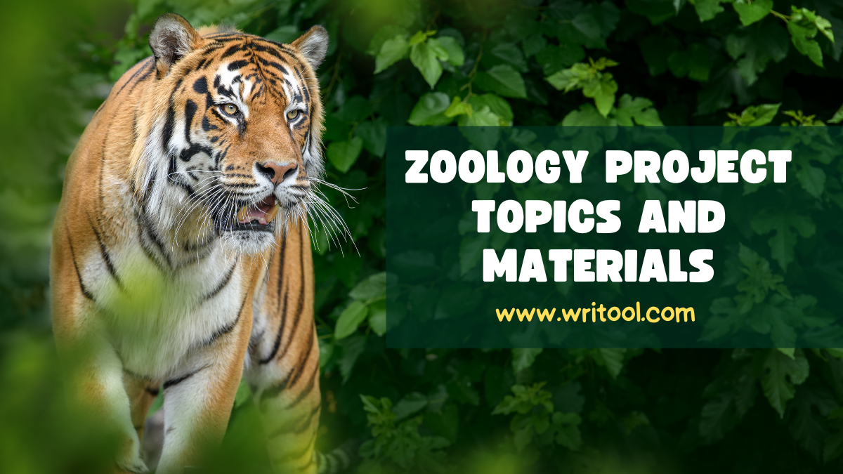 Exploring the Depth of Zoology Diverse Project Topics and Materials by Writool Medium
