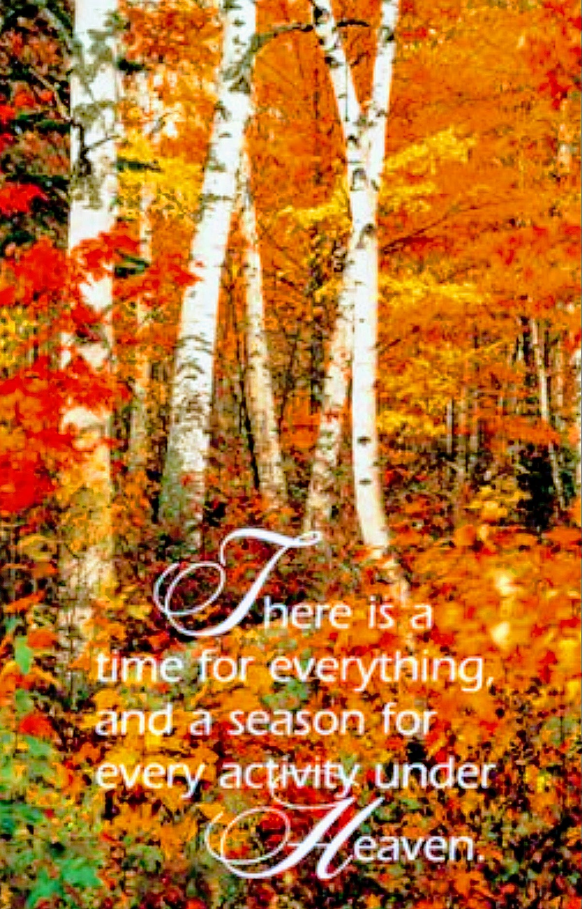 To every thing there is a season, and a time to every purpose under the ...