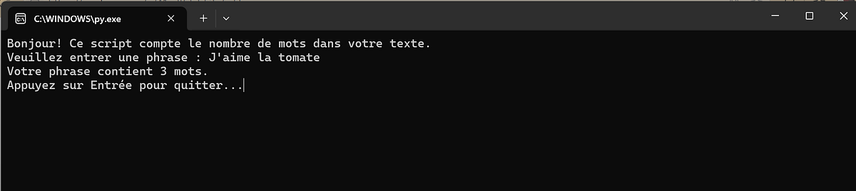 Créer et exécuter simplement un script python sous Windows | by Divin ...