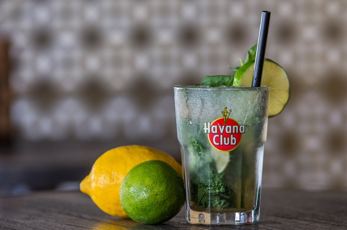 When Life Gives You Lemons, Make Mojitos by Carolyn V. Hamilton Medium