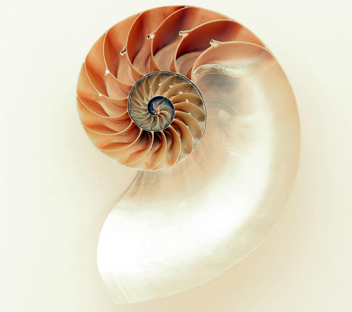 The Curious Case of AI Not Being Able to Think Or (Count)