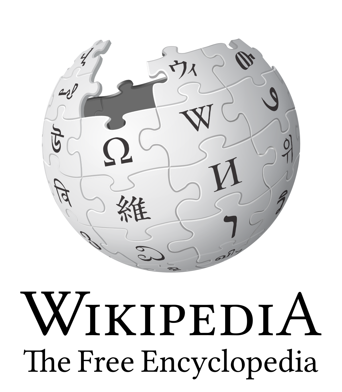 Accès à Internet — Wikipédia