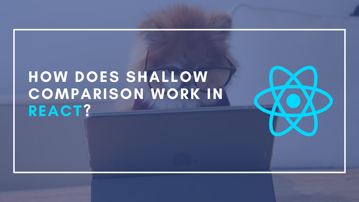 How Does Shallow Comparison Work In React? by Chak Shun Yu Better