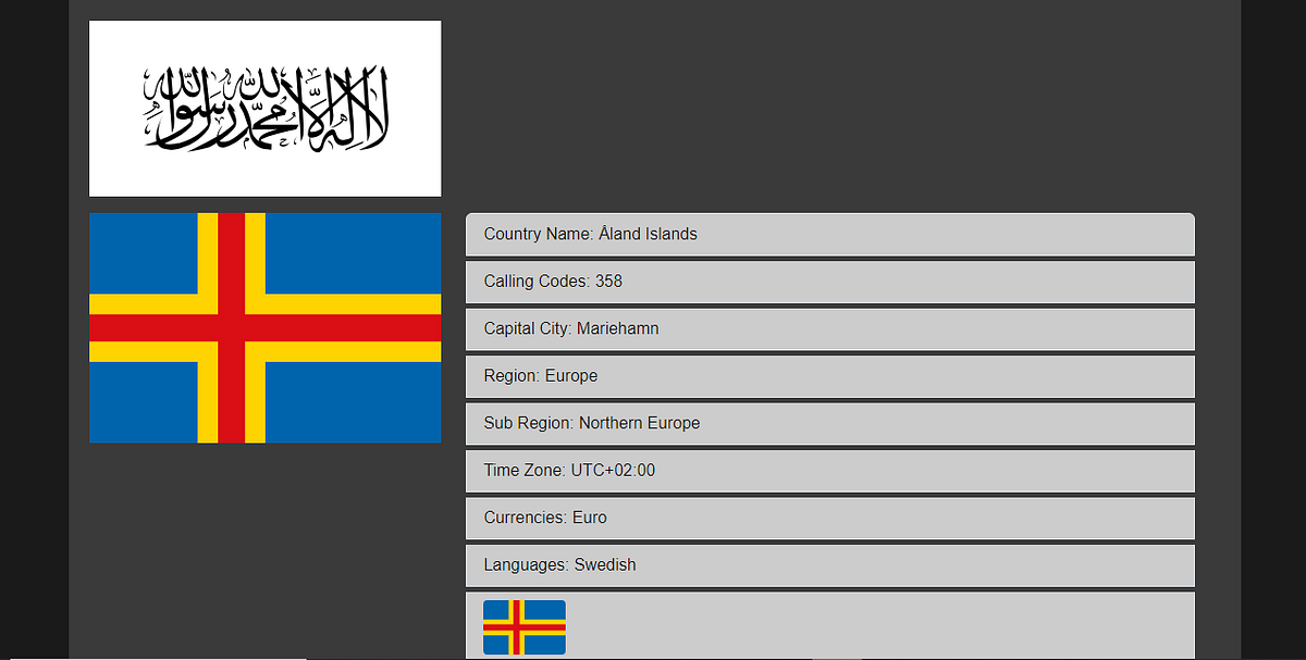 Explore Countries with Flags: A Fun Journey Using JavaScript and APIs ...