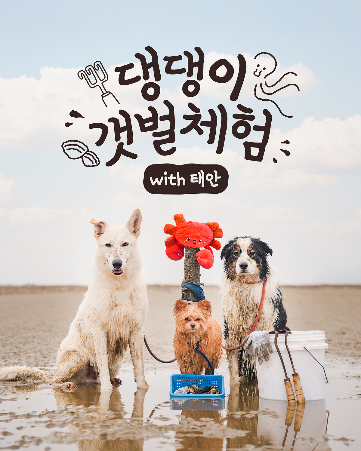 2025.04.03 / 댕댕이 갯벌체험 기사 섬네일