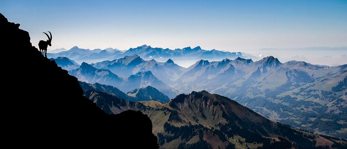 We are the EPFL Extension School. Today, we are starting our journey on