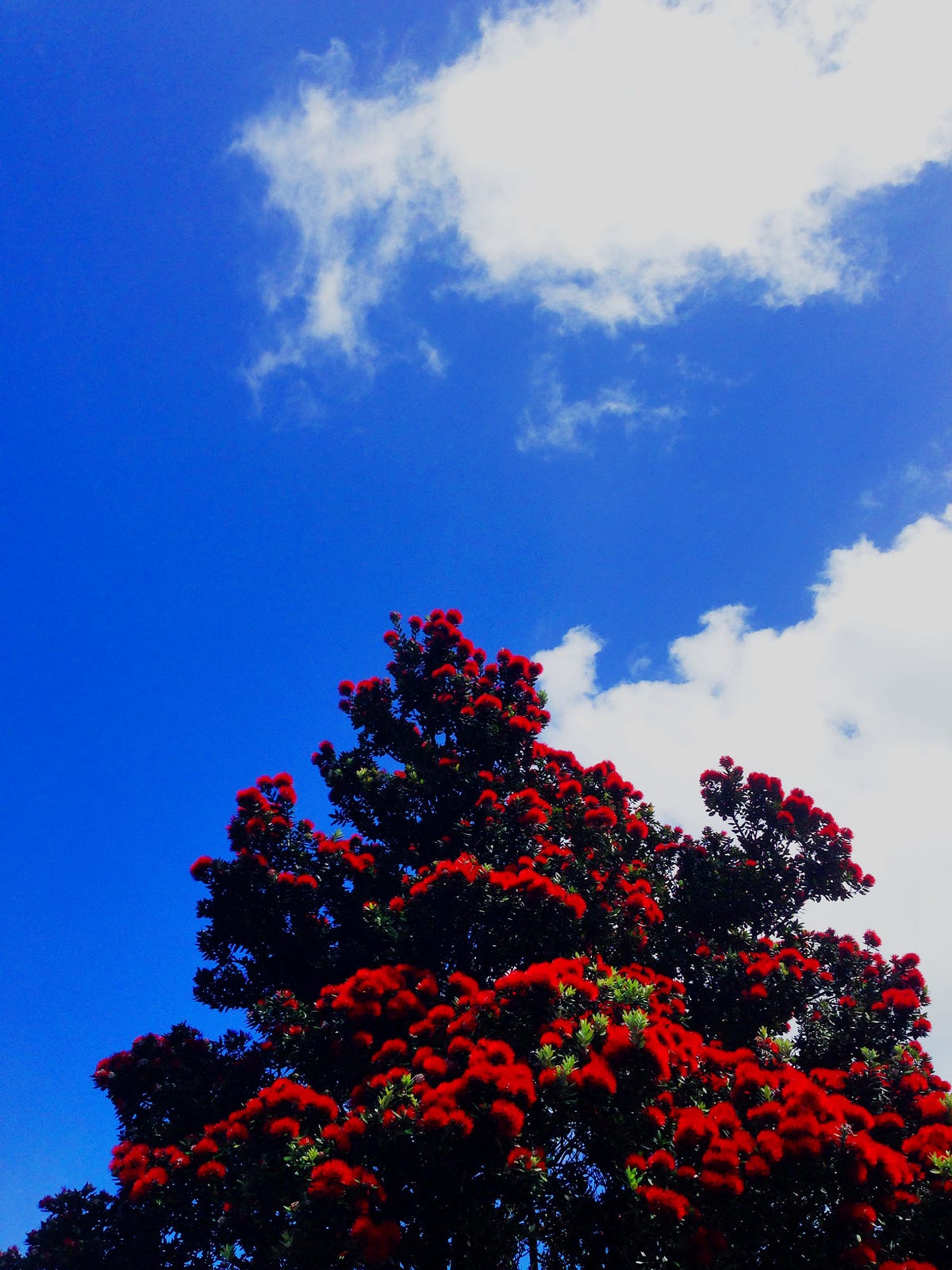 Bastard Behavior is a Choice. The theme at GDruckerForum 2015 is… by