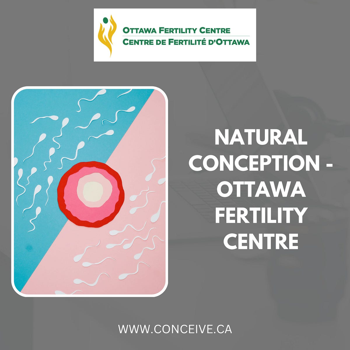 Natural Conception — Ottawa Fertility Centre Ottawa Fertility Centre