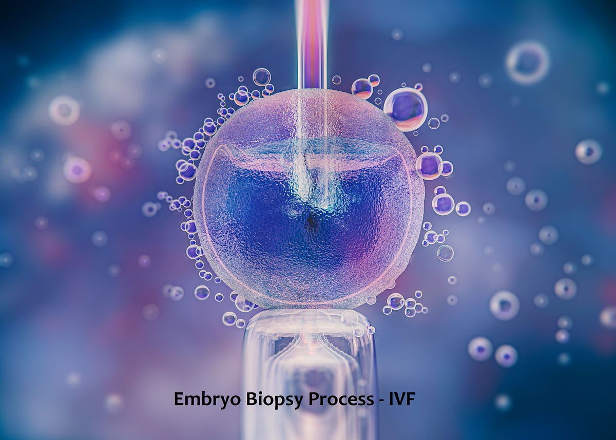 How Long Does an Embryo Biopsy Take? by Surrogacy Centre India Medium