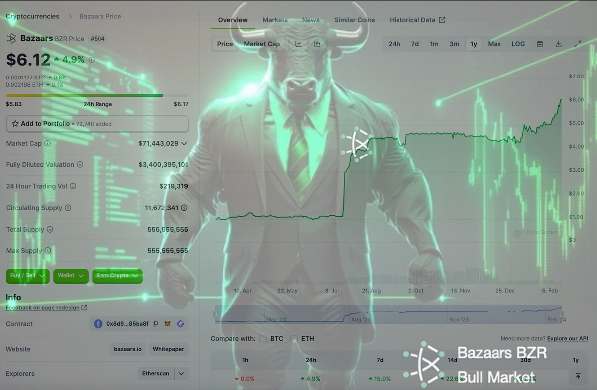 Bazaars BZR A Million Dollar Investment Opportunity Going to New