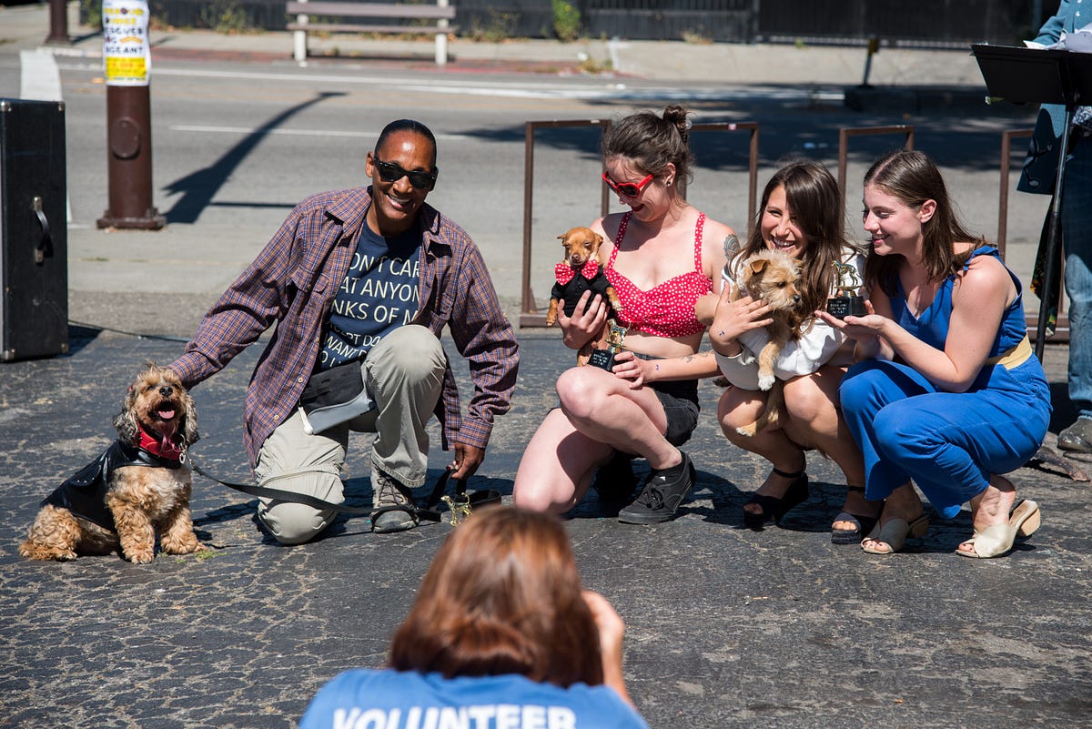 Image of: Rescue Dog Pageant Is Doggos Helping Doggos