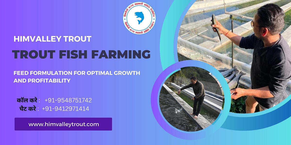 Trout Fish Farming Feed Formulation for Optimal Growth and